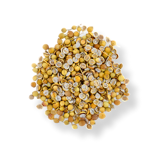 Coriander Seeds