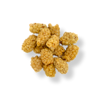 Dried White Mulberry